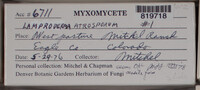 Image Associated With the Occurence